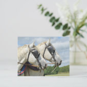 Concept paardenportret briefkaart (Staand voorkant)