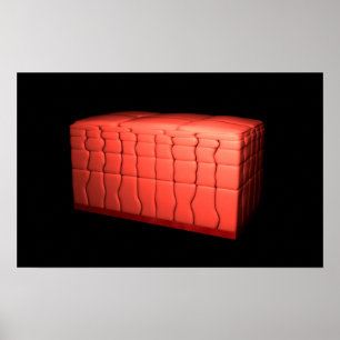 Concept van gestratificeerd vierkant epithelium 1 poster