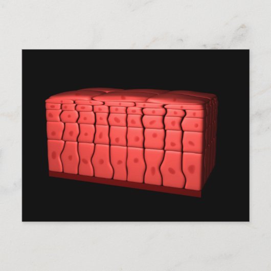 Concept van gestratificeerd vierkant epithelium 2 briefkaart (Voorkant)