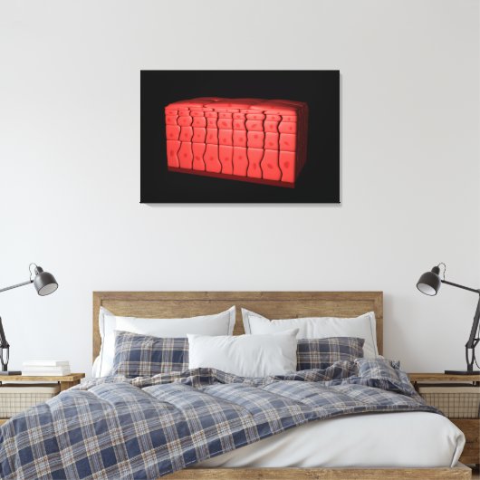 Concept van gestratificeerd vierkant epithelium 2 canvas afdruk (Insitu (Slaapkamer))