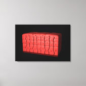 Concept van gestratificeerd vierkant epithelium 2 canvas afdruk (Voorkant)