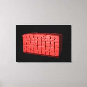 Concept van gestratificeerd vierkant epithelium 2 canvas afdruk