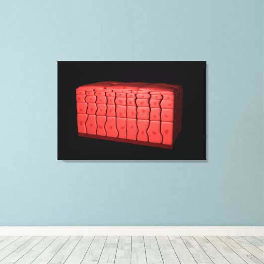 Concept van gestratificeerd vierkant epithelium 2 canvas afdruk (Insitu (Houten vloer))