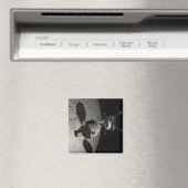 Concept van het Orion-testvoertuig voor bemannings Magneet (Insitu (Vaatwasser))