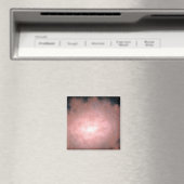 Concept van wat een stoffig en helder sterrenstels magneet (Insitu (Vaatwasser))