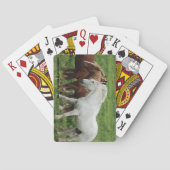 Conceptkaarten voor paarden pokerkaarten (Achterkant)