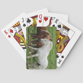 Conceptkaarten voor paarden pokerkaarten