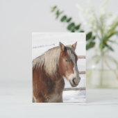 Conceptpaard Briefkaart (Staand voorkant)