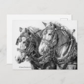 Conceptpaarden Briefkaart tekenen (Voorkant / Achterkant)