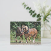 Conceptpaarden in harnas-briefkaart briefkaart (Staand voorkant)