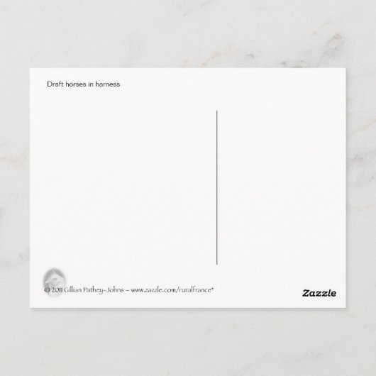 Conceptpaarden in harnas-briefkaart briefkaart (Achterkant)