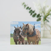 Conceptpaarden in harnas-briefkaart briefkaart (Staand voorkant)