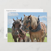 Conceptpaarden in harnas-briefkaart briefkaart (Voorkant / Achterkant)
