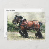 Conceptpaarden in harnas-briefkaart briefkaart (Voorkant / Achterkant)