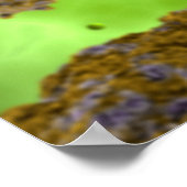 Conceptueel Afbeelding coxsackievirus 2 Poster (Hoek)