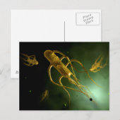 Conceptueel Afbeelding Salmonella typhi 2 Briefkaart (Voorkant / Achterkant)