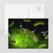 Conceptueel Afbeelding van antilichamen die bacter Briefkaart (Voorkant / Achterkant)
