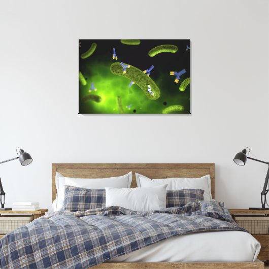 Conceptueel Afbeelding van antilichamen die bacter Canvas Afdruk (Insitu (Slaapkamer))