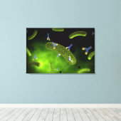 Conceptueel Afbeelding van antilichamen die bacter Canvas Afdruk (Insitu (Houten vloer))