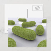 Conceptueel Afbeelding van bacteriën 1 Briefkaart (Voorkant / Achterkant)