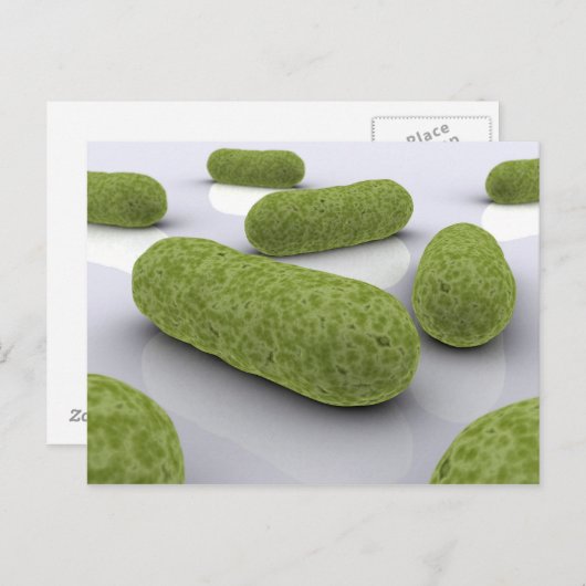 Conceptueel Afbeelding van bacteriën 1 Briefkaart (Voorkant / Achterkant)