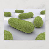Conceptueel Afbeelding van bacteriën 1 Briefkaart (Voorkant)