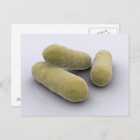 Conceptueel Afbeelding van bacteriën 2 Briefkaart (Voorkant / Achterkant)