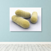 Conceptueel Afbeelding van bacteriën 2 Canvas Afdruk (Insitu (Houten vloer))