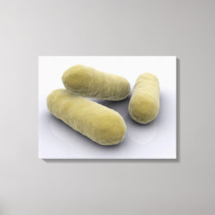 Conceptueel Afbeelding van bacteriën 2 Canvas Afdruk