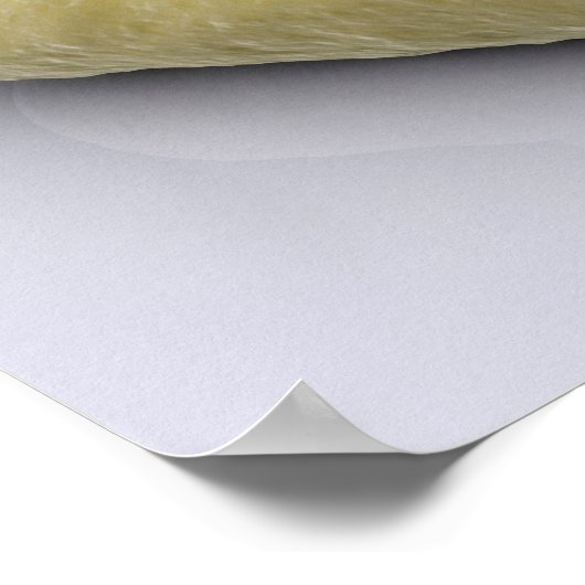 Conceptueel Afbeelding van bacteriën 2 Poster (Hoek)