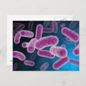 Conceptueel Afbeelding van bacteriën 3 Briefkaart (Voorkant / Achterkant)