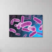 Conceptueel Afbeelding van bacteriën 3 Canvas Afdruk (Voorkant)