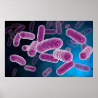 Conceptueel Afbeelding van bacteriën 3