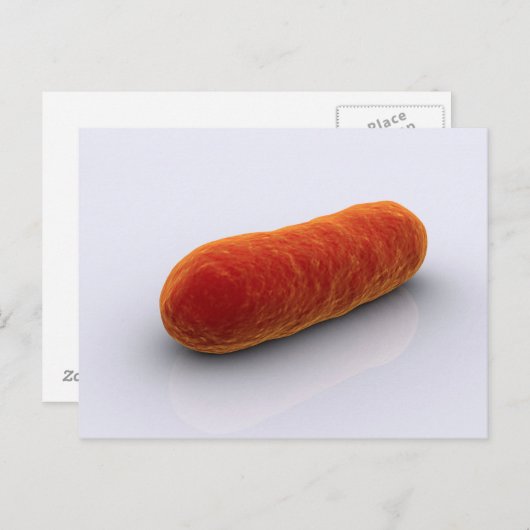 Conceptueel Afbeelding van bacteriën 4 Briefkaart (Voorkant / Achterkant)