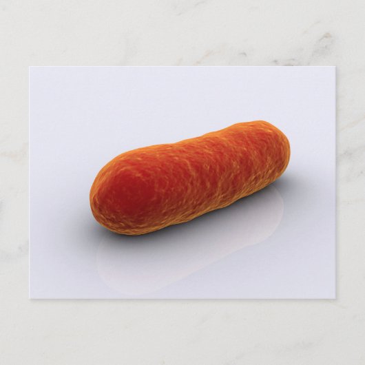 Conceptueel Afbeelding van bacteriën 4 Briefkaart (Voorkant)