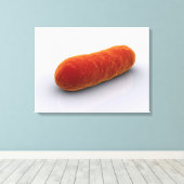 Conceptueel Afbeelding van bacteriën 4 Canvas Afdruk (Insitu (Houten vloer))