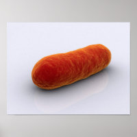 Conceptueel Afbeelding van bacteriën 4