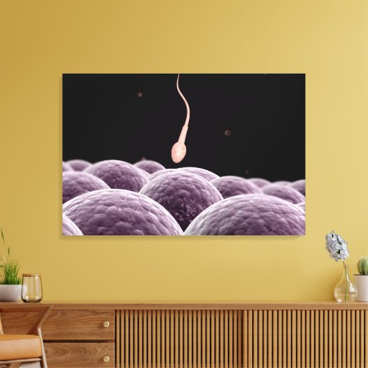 Conceptueel Afbeelding van bevruchting Canvas Afdruk (Insitu (Woonkamer))