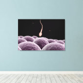 Conceptueel Afbeelding van bevruchting Canvas Afdruk (Insitu (Houten vloer))