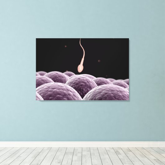 Conceptueel Afbeelding van bevruchting Canvas Afdruk (Insitu (Houten vloer))