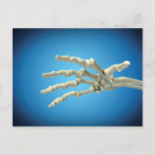 Conceptueel Afbeelding van Botten in de hand 1 Briefkaart (Voorkant)