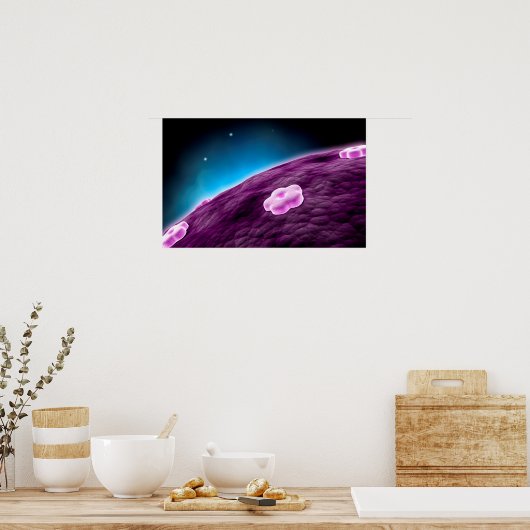 Conceptueel Afbeelding van celkern Poster (Keuken)