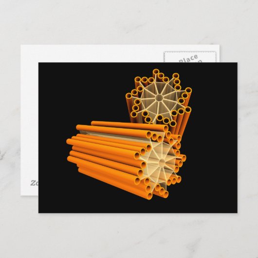 Conceptueel Afbeelding van centriolen 1 Briefkaart (Voorkant / Achterkant)