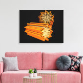 Conceptueel Afbeelding van centriolen 1 Canvas Afdruk (Insitu (Woonkamer))