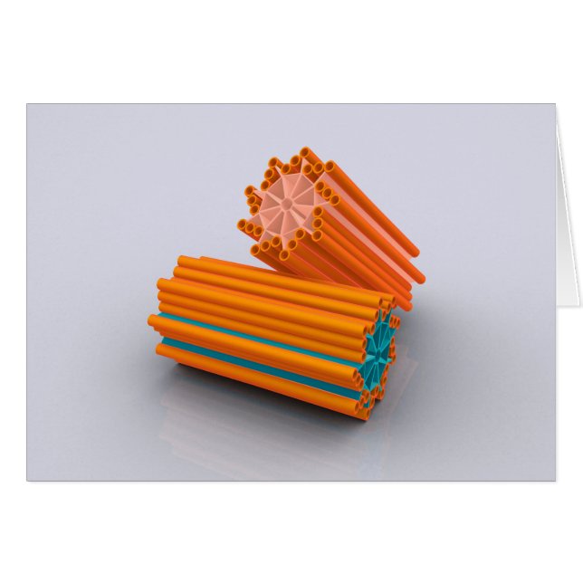 Conceptueel Afbeelding van centriolen 2 (Voorkant Horizontaal)