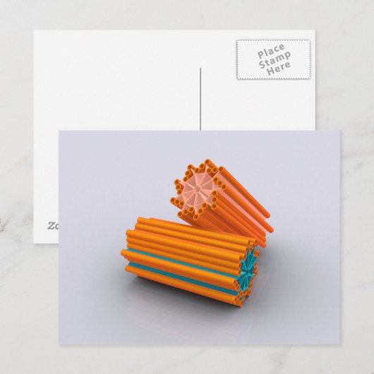 Conceptueel Afbeelding van centriolen 2 Briefkaart (Voorkant / Achterkant)