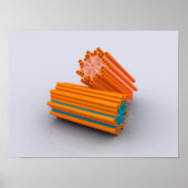 Conceptueel Afbeelding van centriolen 2 Poster (Voorkant)