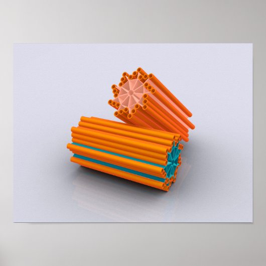 Conceptueel Afbeelding van centriolen 2 Poster (Voorkant)