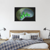 Conceptueel Afbeelding van chloroplast 1 Canvas Afdruk (Insitu (Slaapkamer))