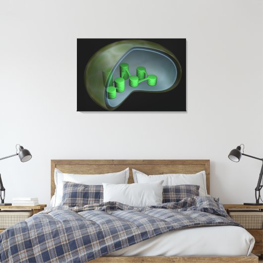 Conceptueel Afbeelding van chloroplast 1 Canvas Afdruk (Insitu (Slaapkamer))